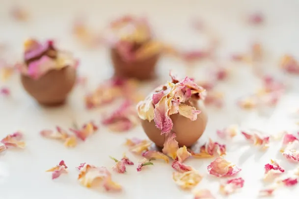 Casino Palm Slots App Android/iOS